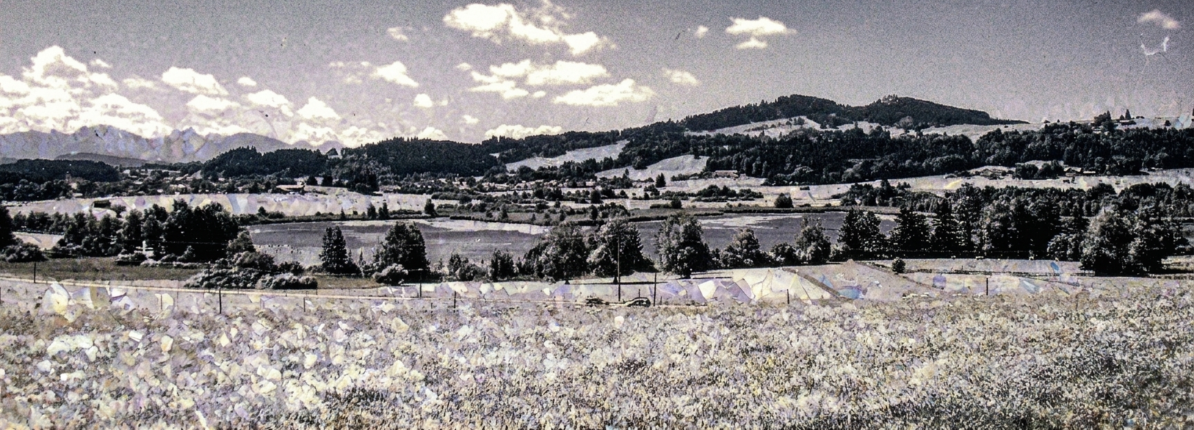 Auerberg card rendering
